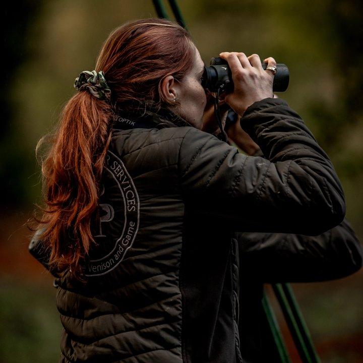 Stalking and Hunting