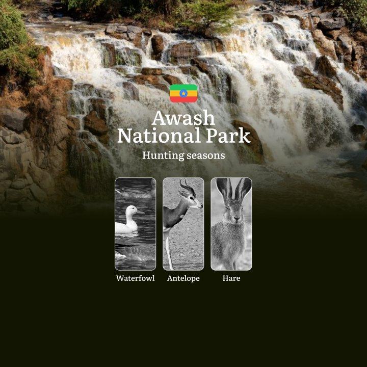 Hunting Dates in AWASH NATIONAL PARK, Ethiopia: Seasonality of Hunting, Rules, Terms, and Features, Liability for Violating Hunting