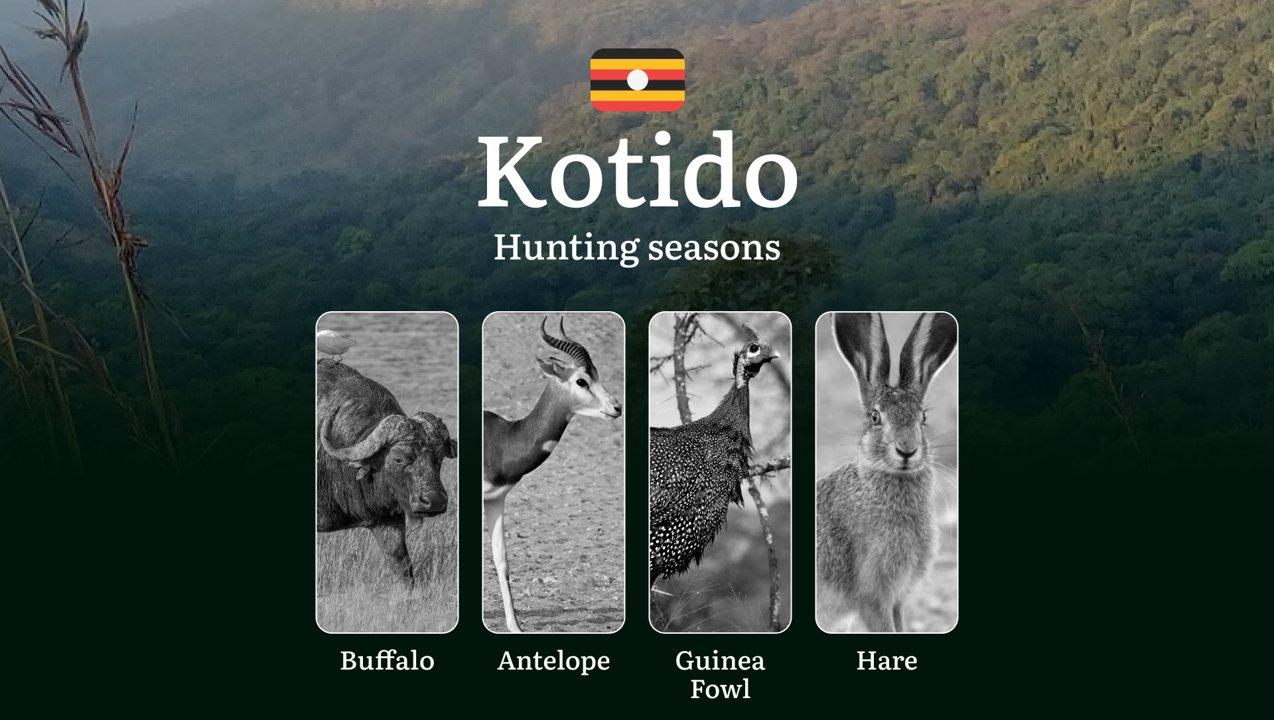 Scheduled Hunting Times in Kotido: Area Regulations, Steps to Obtain a Hunting License, Sanctions for Breaching Hunting Periods, Tips on Timing, Gear Selection, and Hunting Methods