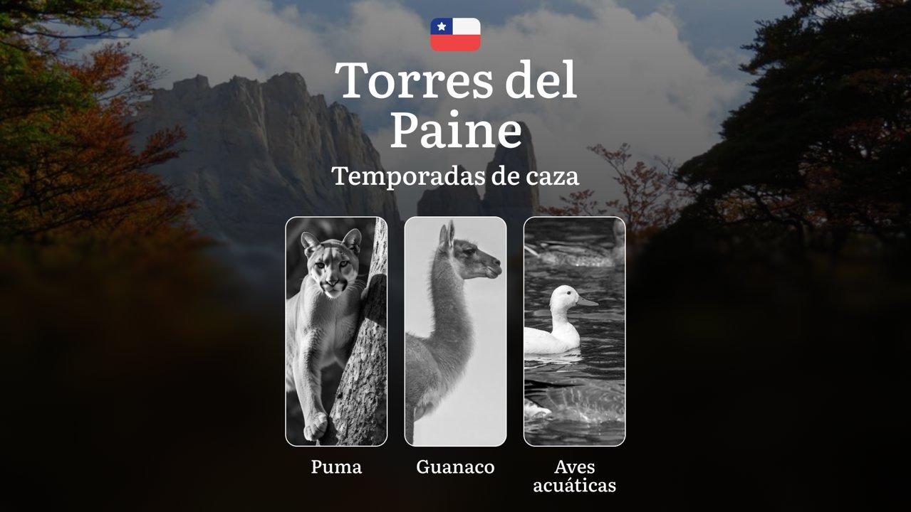 La región de Torres del Paine, Chile: temporadas de caza, épocas, reglas y recomendaciones para cazadores experimentados