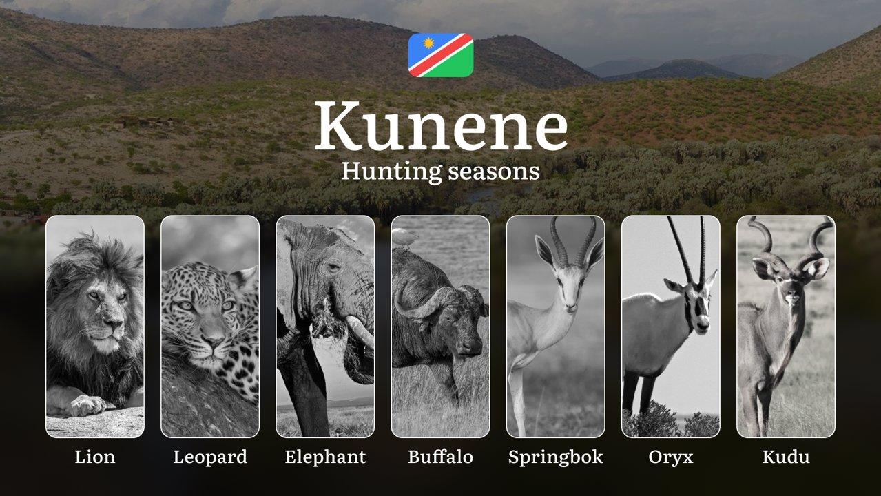 Seasonal Hunting Periods in Kunene: Year-Round Species Access, Game Activity by Season, and Getting Legal Permission to Participate