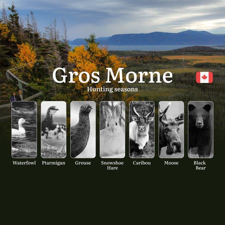 Hunting Seasons in GROS MORNE, Canada: Key Dates, Licensing Info <strong>and</strong> Important Regulations

Nestled in the wild heart of Newfoundland <strong>and</strong