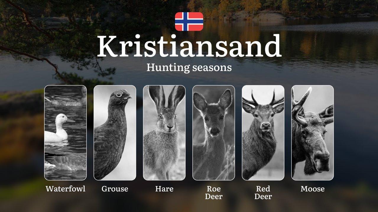 Hunting Seasons in Kristiansand: Regulations, Permits, and Time for Hunting, Documents and Organizations

Planning your next hunting trip to Kristiansand? This comprehens