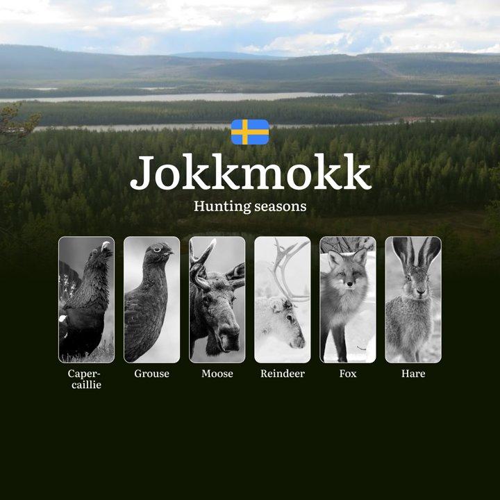 <strong>Hunting</strong> Periods and Local Rules <strong>in</strong> JOKKMOKK: Species You Can Hunt Throughout the Year, Seasonal Activity of Game, and the Steps to Get a