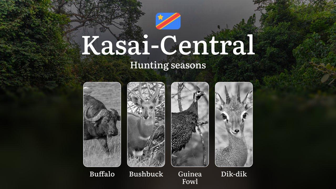 Hunting Date Ranges in Kasaï-Central: Main Seasons by Species, No-Hunt Zones, Regulations and Special Cases, License Process, Recommended Equipment, Best Spots, and Timing Tips