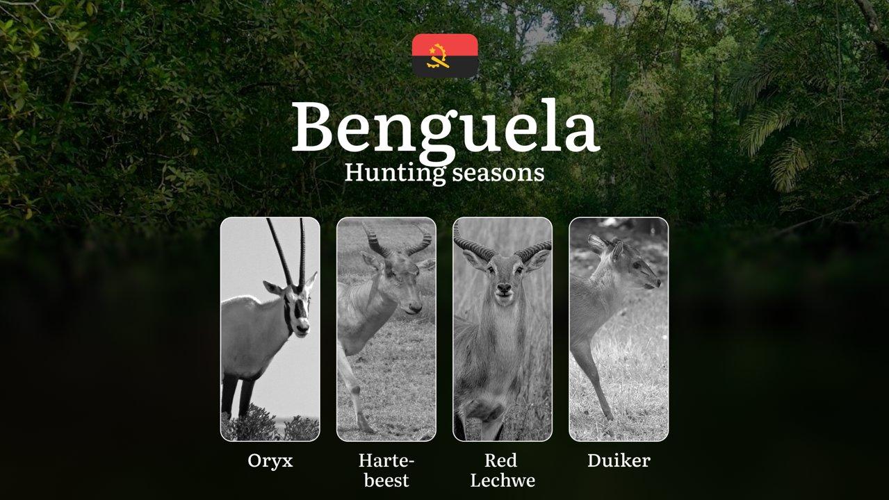 Hunting Through the Seasons in Benguela: Rules, Permits & Cultural Events and Traditions