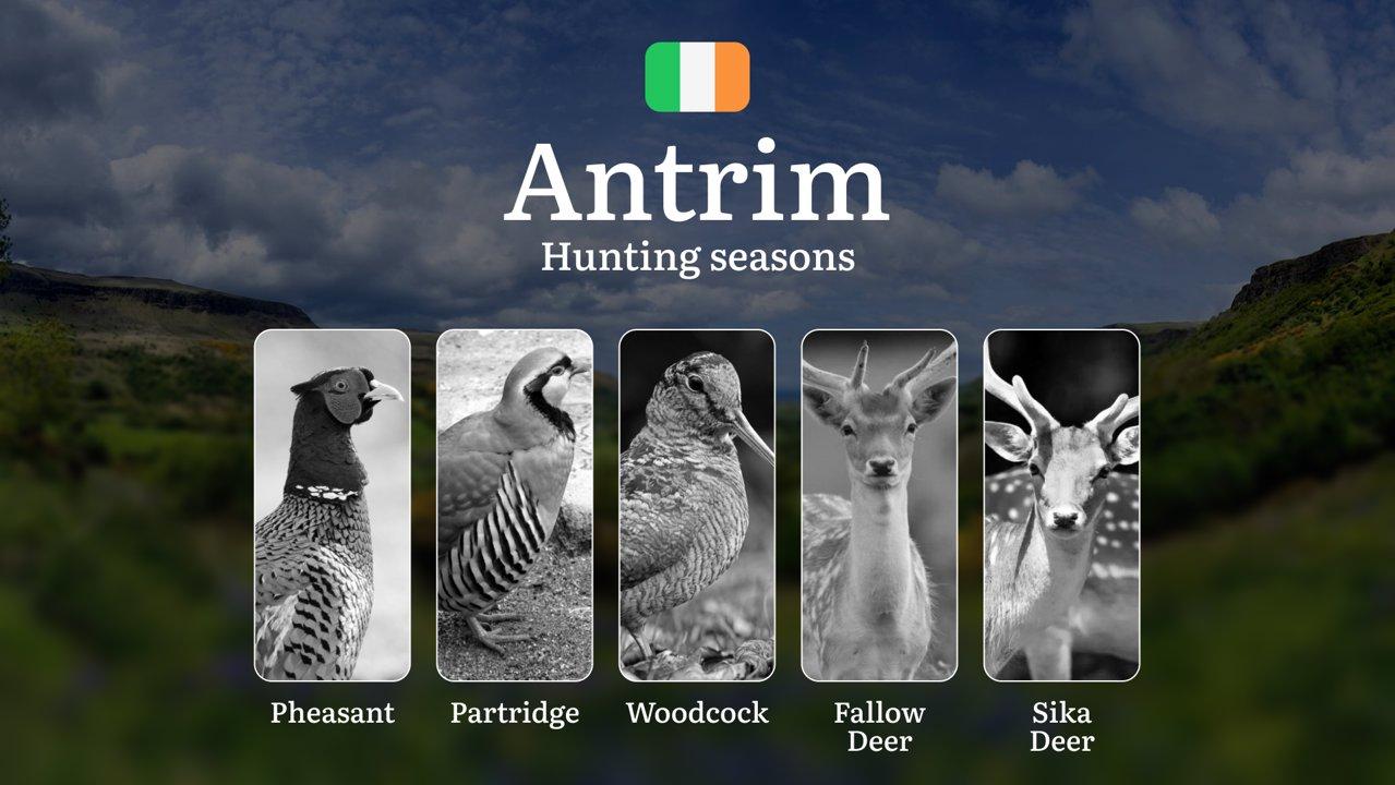When the Land Stirs: A Deep Dive into Hunting  Calendar, Seasons, Wildlife Cycles, and Tradition in County ANTRIM

Understanding Hunting Seasons and Wildlife Management i