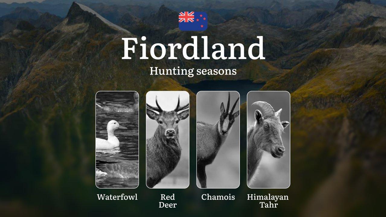 FIORDLAND: Rules, Timing, and Best Periods for Trophy Hunting, Hunting Seasons, Animal Species

General Rules and Hunting Seasons in Fiordland

Fiordland is one of the mo