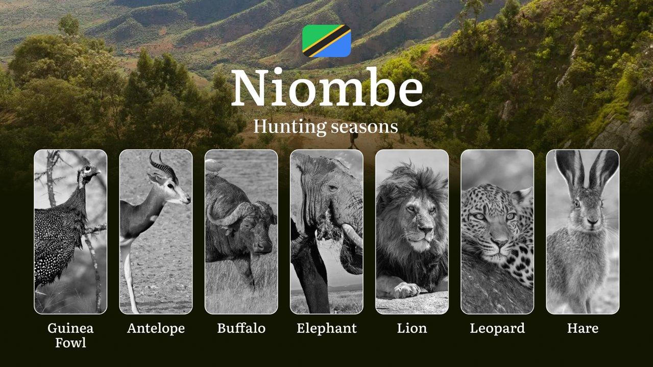 Niombe: Hunting Timeframes, Species and Seasonal Bans, Participating <strong>in</strong> the Hunt, Getting Licensed, Penalties That May Spoil Season, Expert Recommendatio