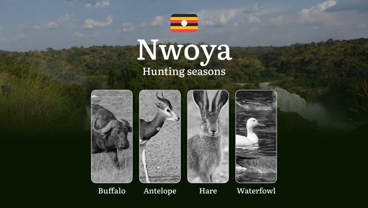 Nwoya: Hunting Activity Periods, Protected Species and Seasonal Restrictions, Obtaining a License, Penalties That Affect Your Hunt, Expert Advice, Timing, Equipment