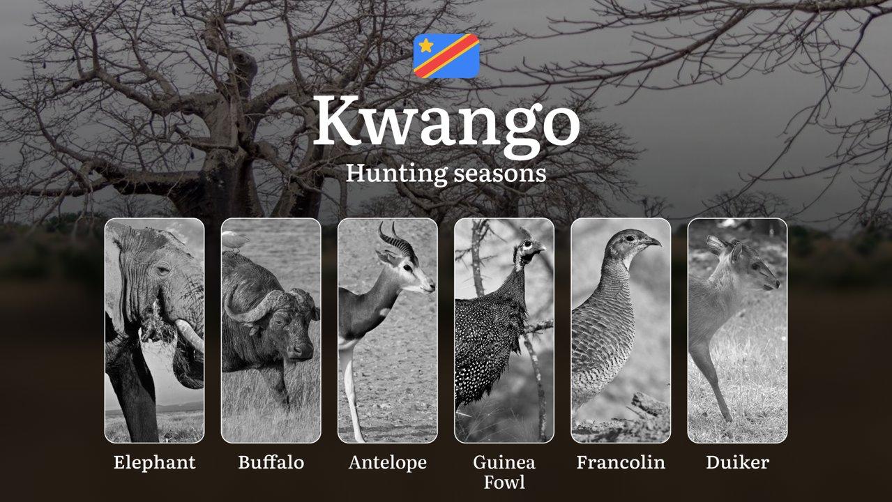 Kwango Province: Official Hunting Dates, Legal Limits, Licensing Standards, Gear Strategies, Tools, and Tactics 

Kwango Province in the Democratic Republic of the Congo 