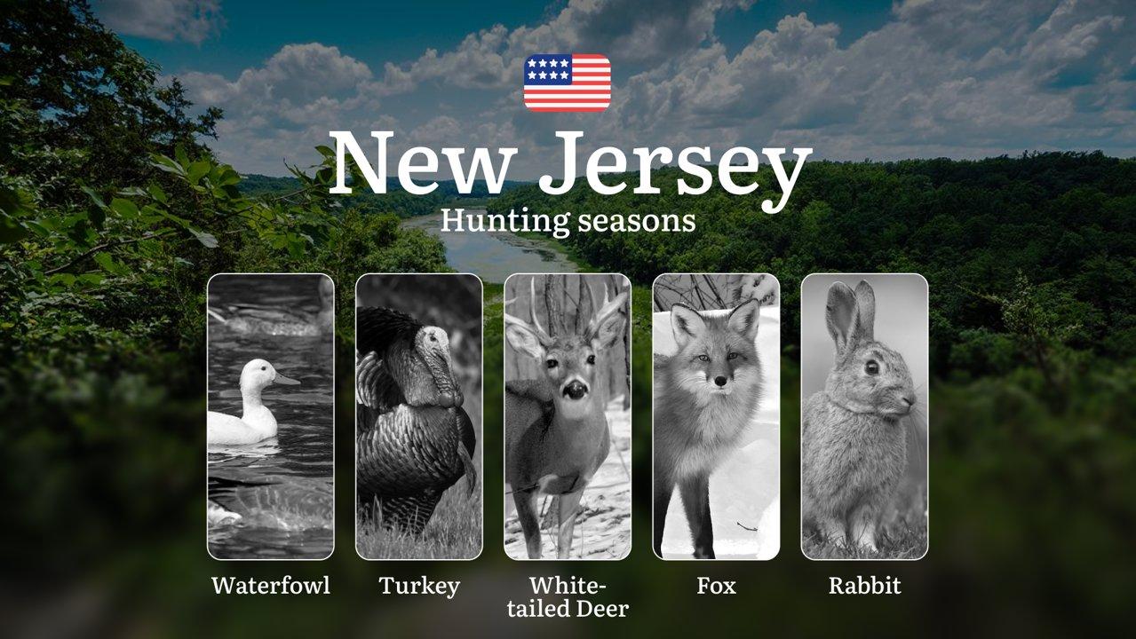 Hunting Seasons in New Jersey, USA (Public Lands): Hunting Periods, Open and Close Dates, Licenses, Rules, Hunting Restrictions and Prohibitions