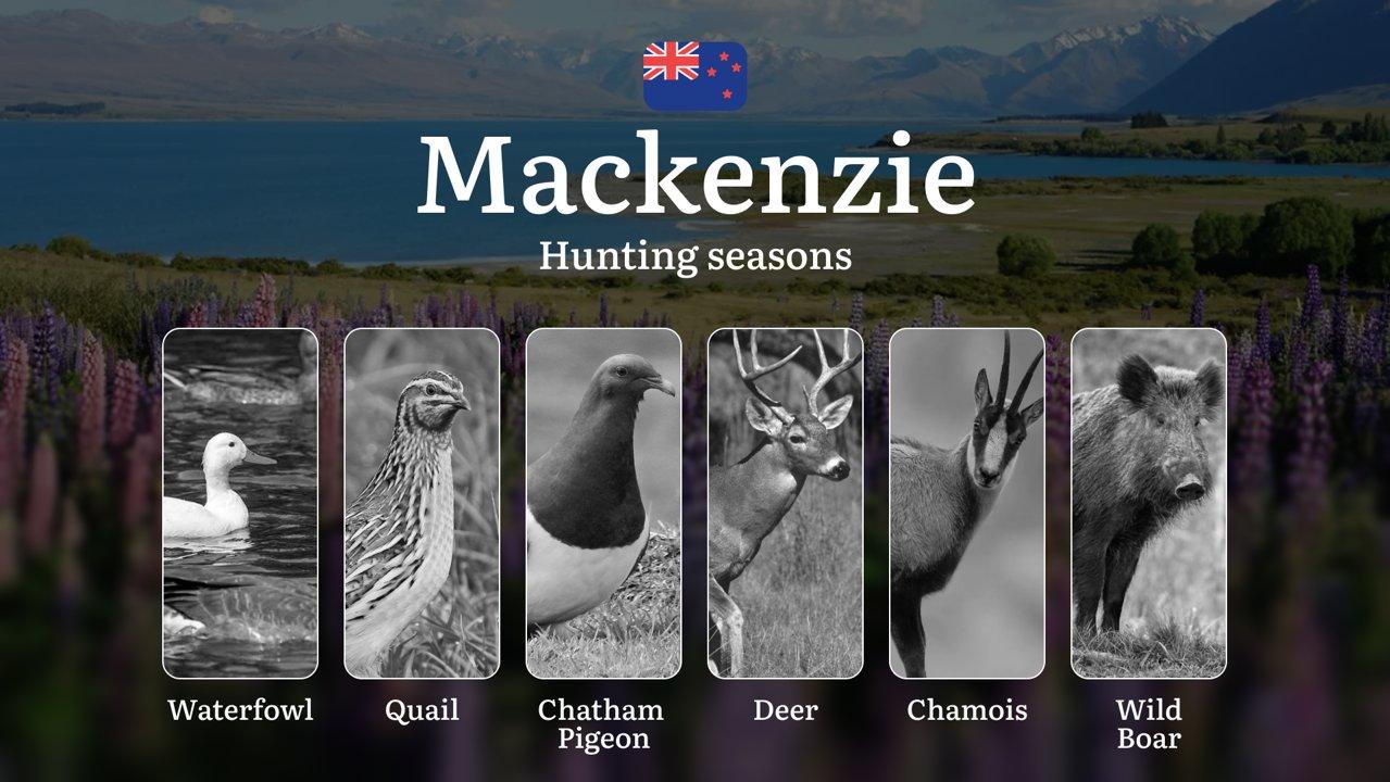 Hunting Seasons in the MACKENZIE Region: Dates, Main Periods and Regional Features, Licences, Rules, and Tactics

When Can You Hunt: Main Periods and Regional Features

T