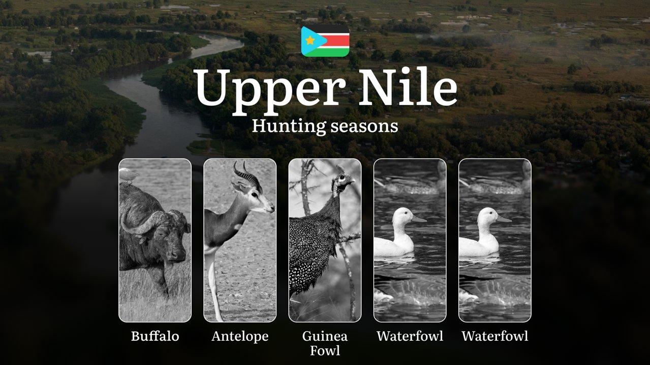 Upper Nile: Official Hunting Timeline, Prime Seasons for Big and Small Game, Organizations, Species and Season Bans, Recommendations

Hunting in Upper Nile, South Sudan, 