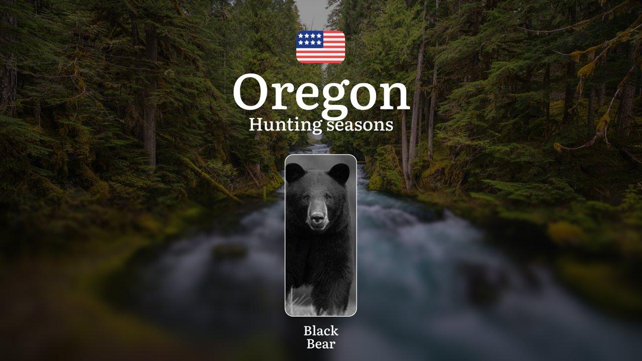 Black Bear Hunting Seasons in Oregon, USA: Dates, Licenses, Rules, and Best Times to Hunt