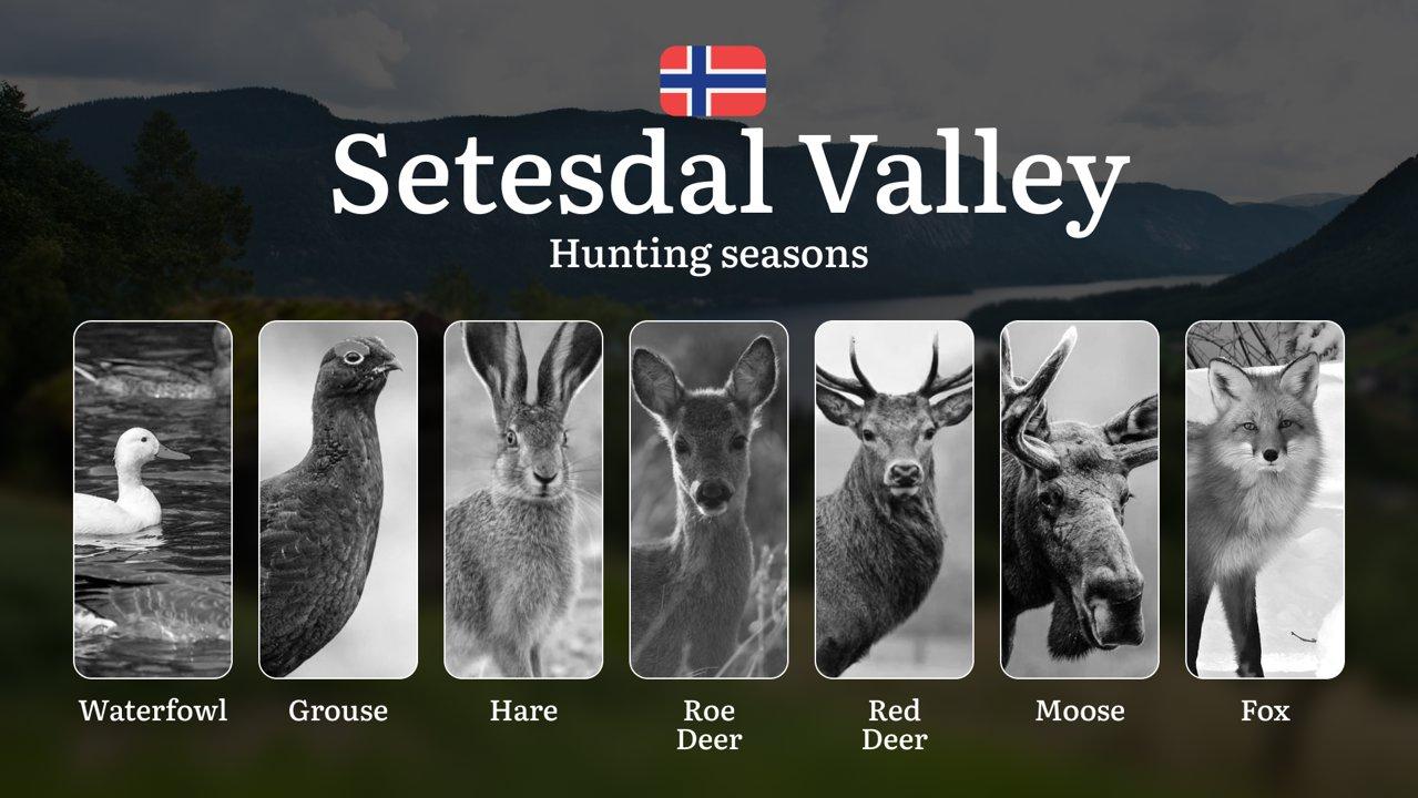 Hunting Periods and Local Rules in Setesdal Valley: Species You Can Hunt Throughout the Year, Seasonal Activity of Game, and the Steps to Get a Legal Hunting License in t