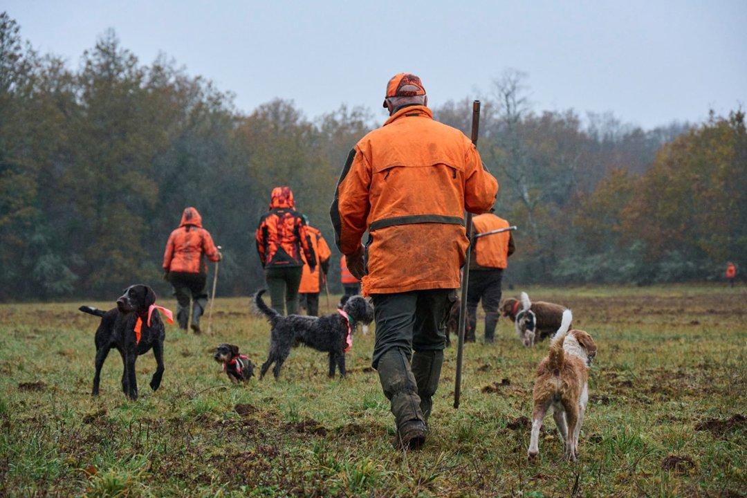 La chasse dans le VAL-DE-MARNE: Un territoire sans chasse mais ancré dans les réseaux cynégétiques franciliens et porteur d’une mémoire rurale