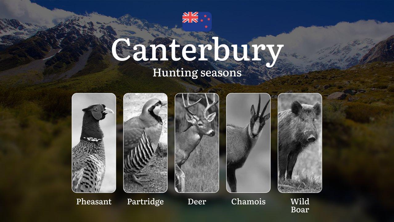 Hunting Time in CANTERBURY, New Zealand: Hunting Periods and Seasons, Licenses and Rules.