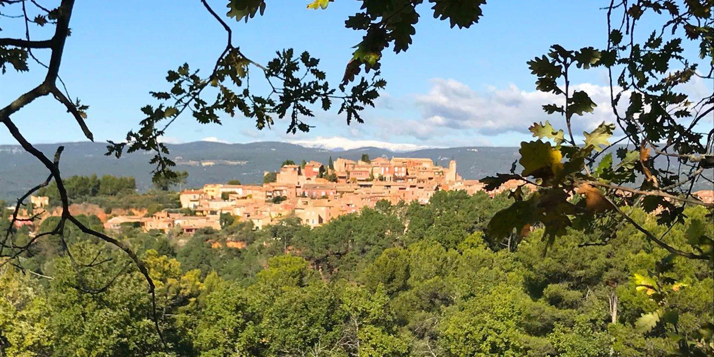 La Chasse dans le VAUCLUSE: Explorez la Démographie, Naviguez dans la Législation et Découvrez des Traditions