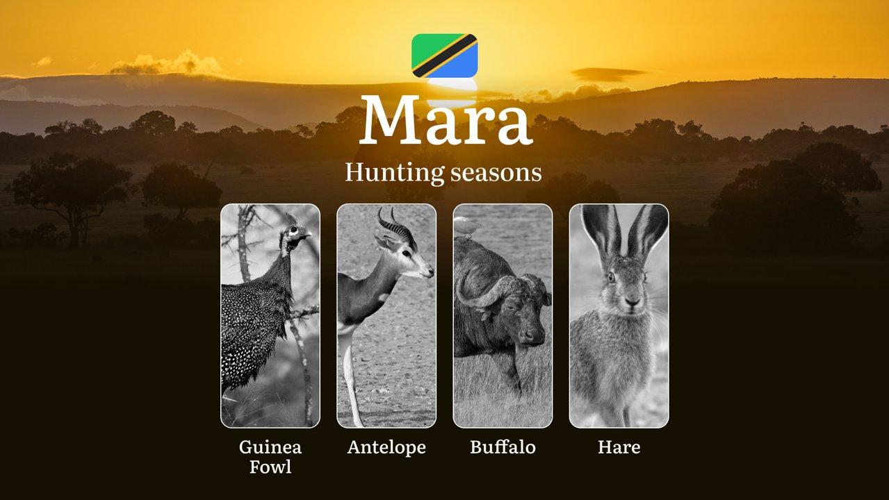 Mara: <strong>Hunting</strong> Timeframes, Species and Seasonal Bans, Participating in the Hunt, Getting Licensed, Penalties That May Spoil Season, Expert Recommendations