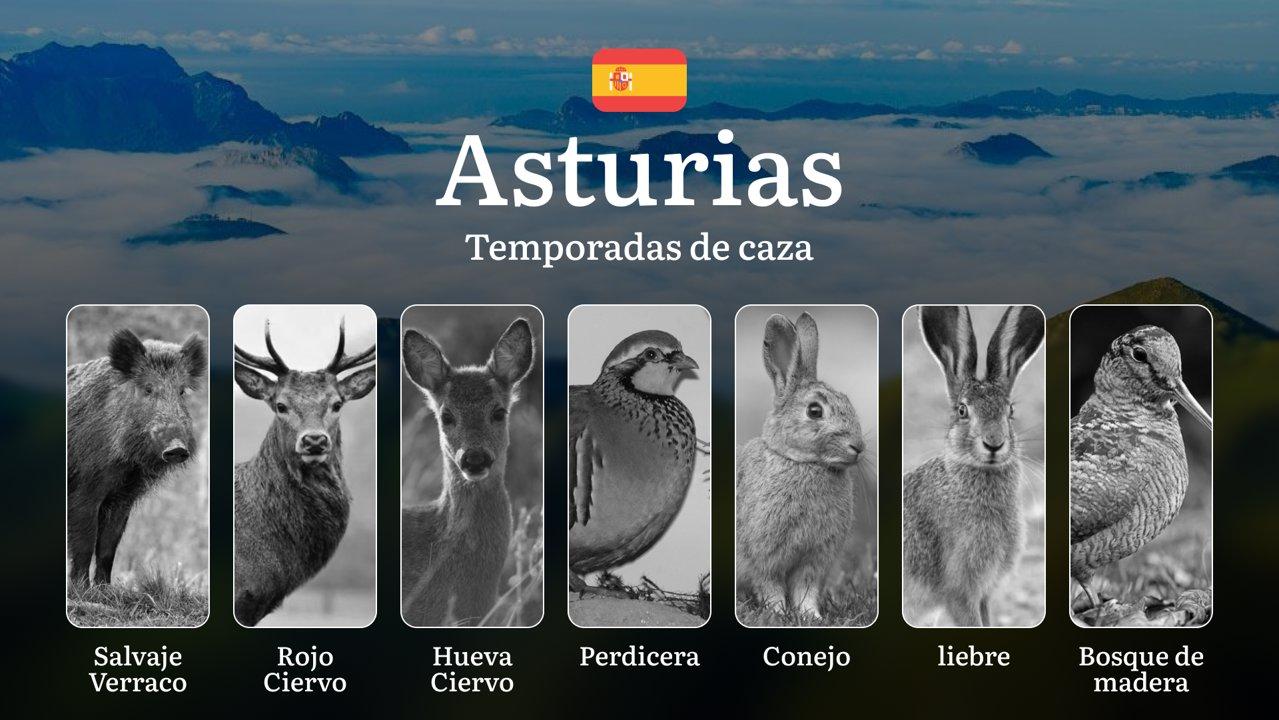 Temporadas de Caza en el Principado: Temporadas y períodos de caza por Comarcas, Normativas del Gobierno ASTURIANO y Consejos Prácticos