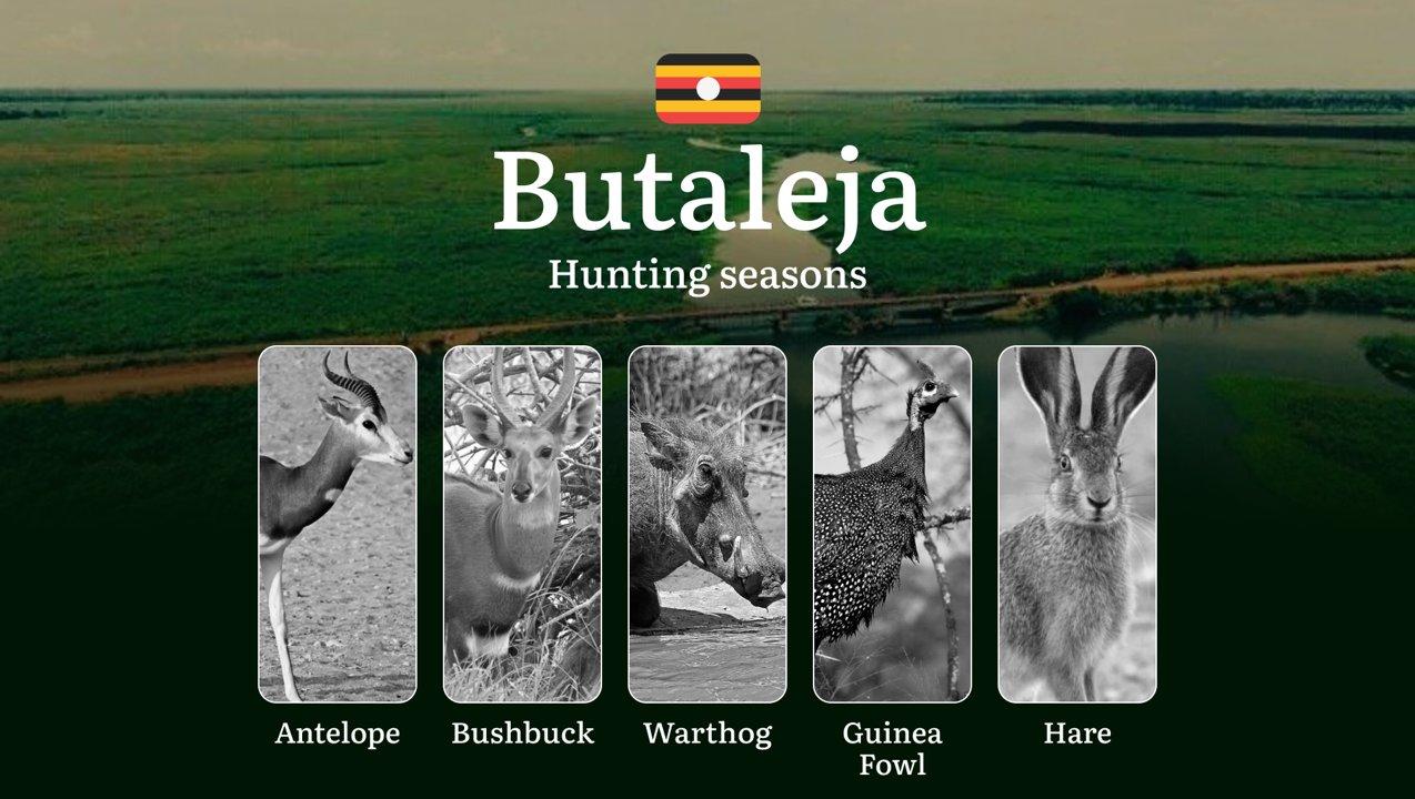 Butaleja: Designated Hunting Periods, Legal Limits and Seasonal Restrictions, Licensing Rules, Penalties for Violations, Planning, Timing, and Gear

Butaleja offers hunte