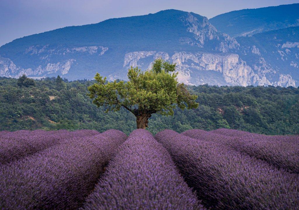 La Chasse dans les ALPES-DE-HAUTE-PROVENCE: Explorez la Géographie, Naviguez dans la Législation et Découvrez des Associations