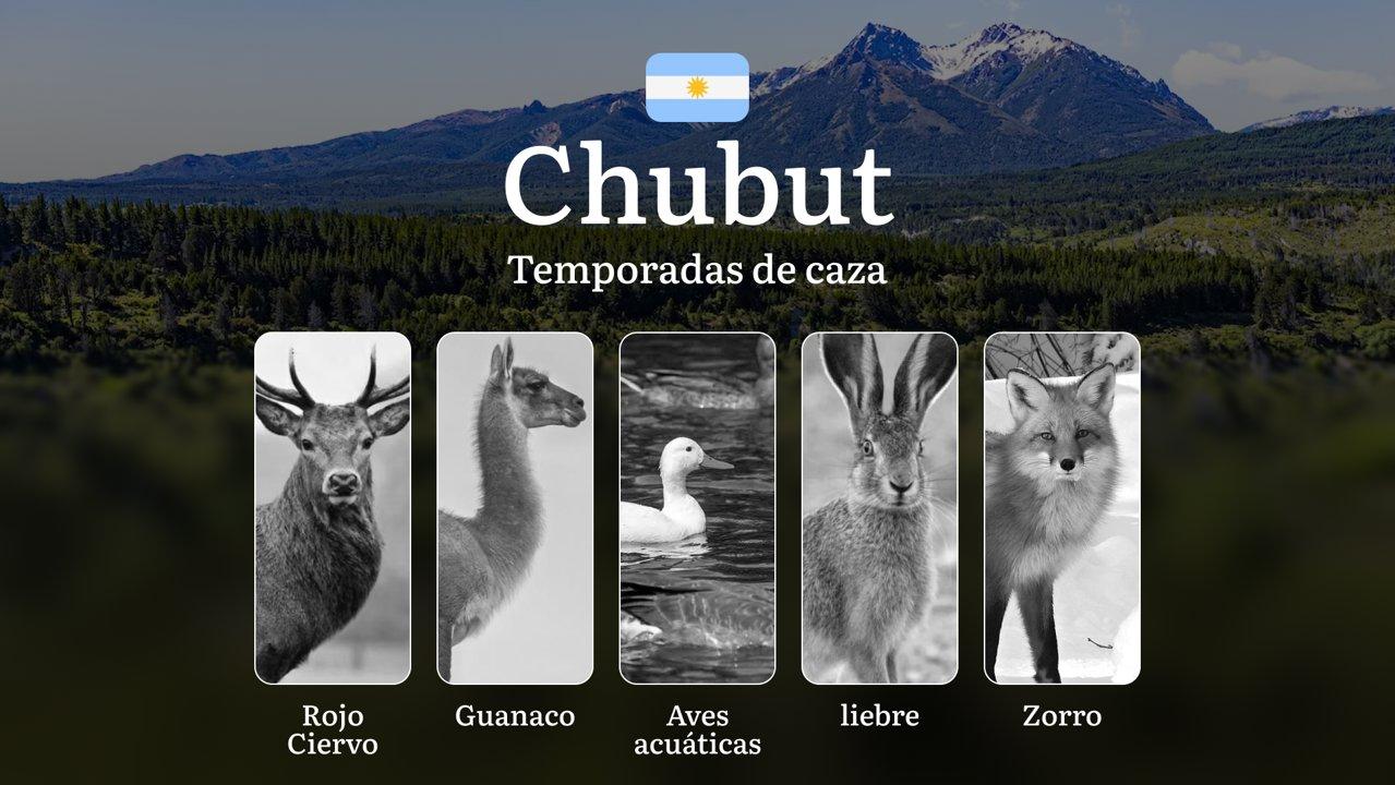 Chubut: fechas de caza, regulaciones y mejores épocas para la caza, temporadas, clima y cambios históricos