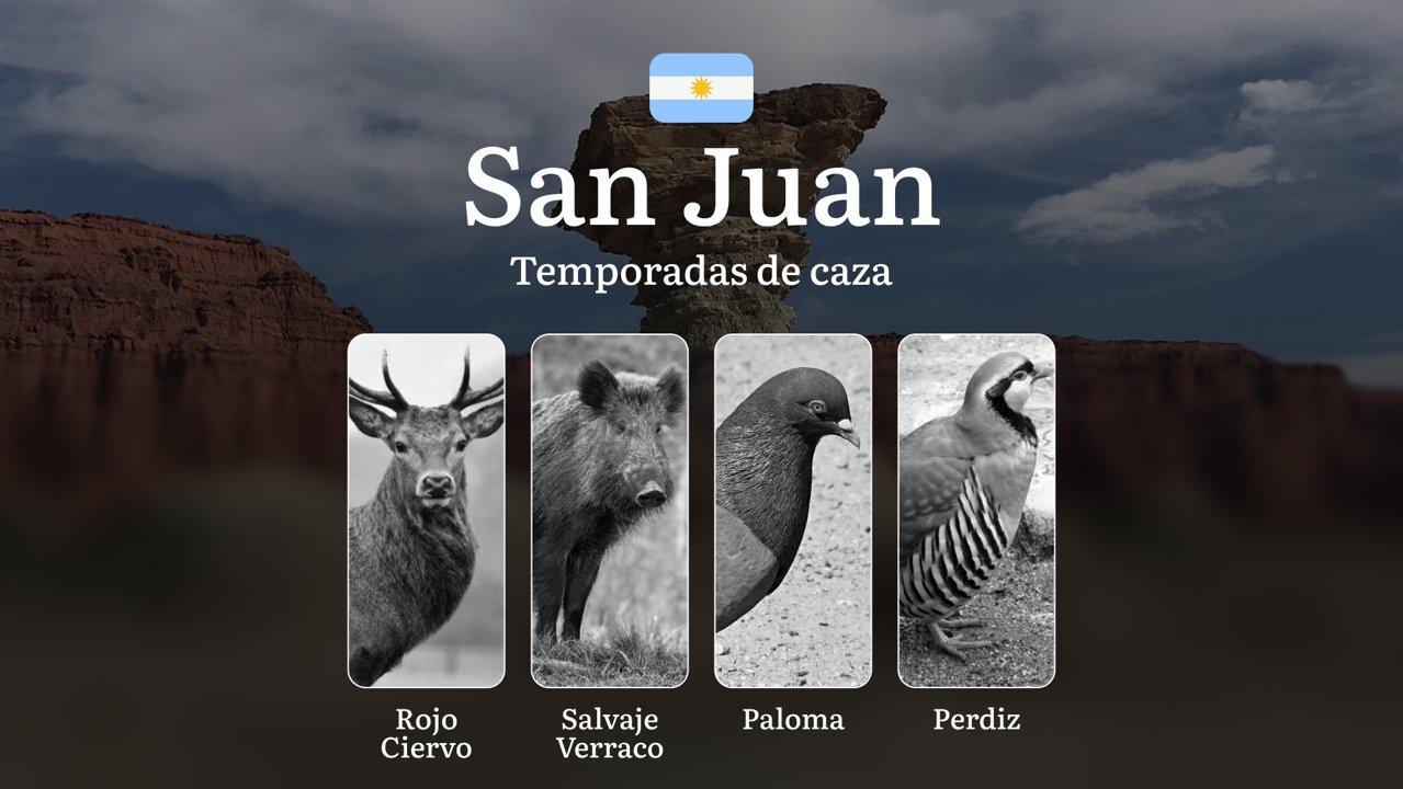 Mejores épocas para la caza, temporadas y normas de caza en San Juan: fechas, reglas, estacionalidad y actividad de la caza