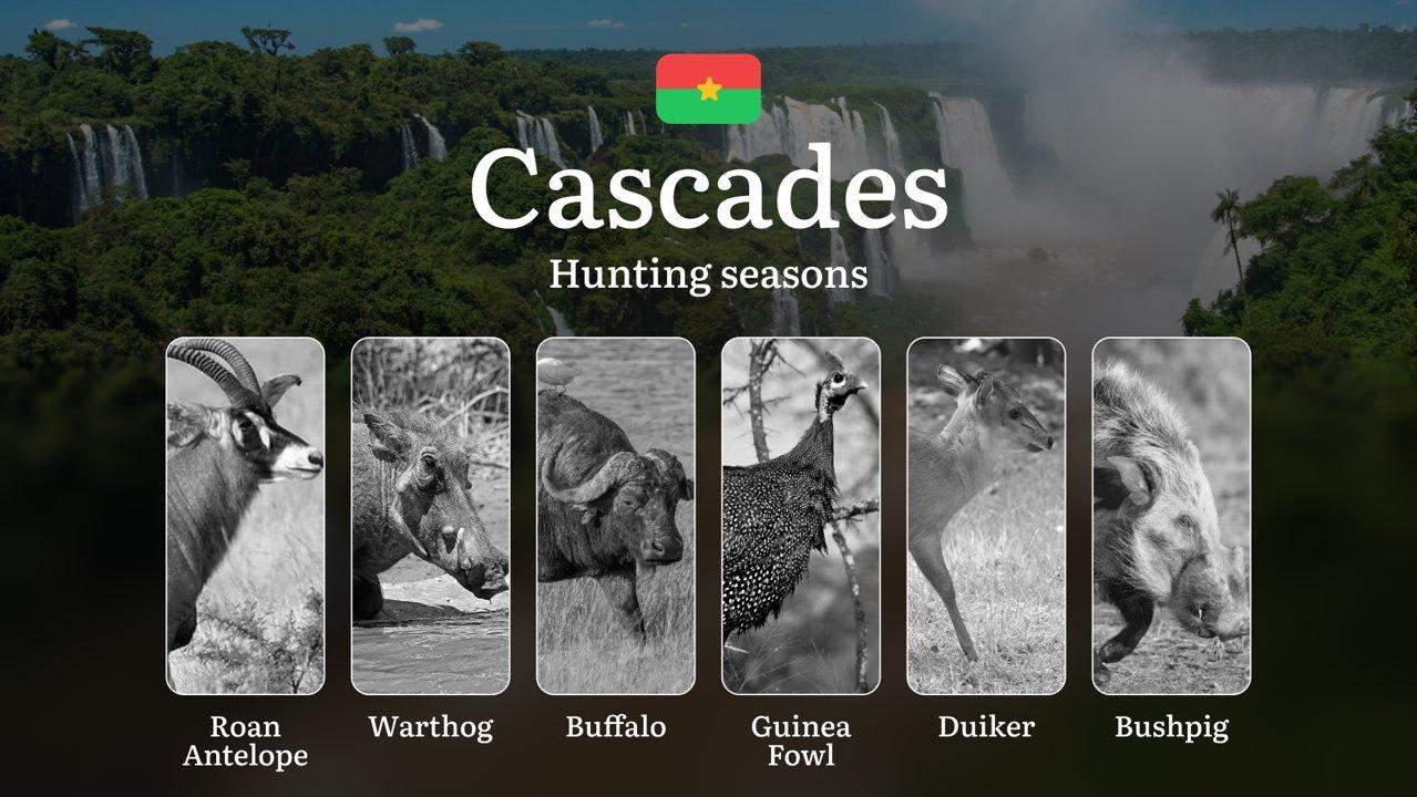 Hunting Seasons in CASCADES Region of Burkina Faso: Key Hunting Periods, General Hunting Rules, Legal Restrictions,  Licensing Requirements, and Wildlife Activity