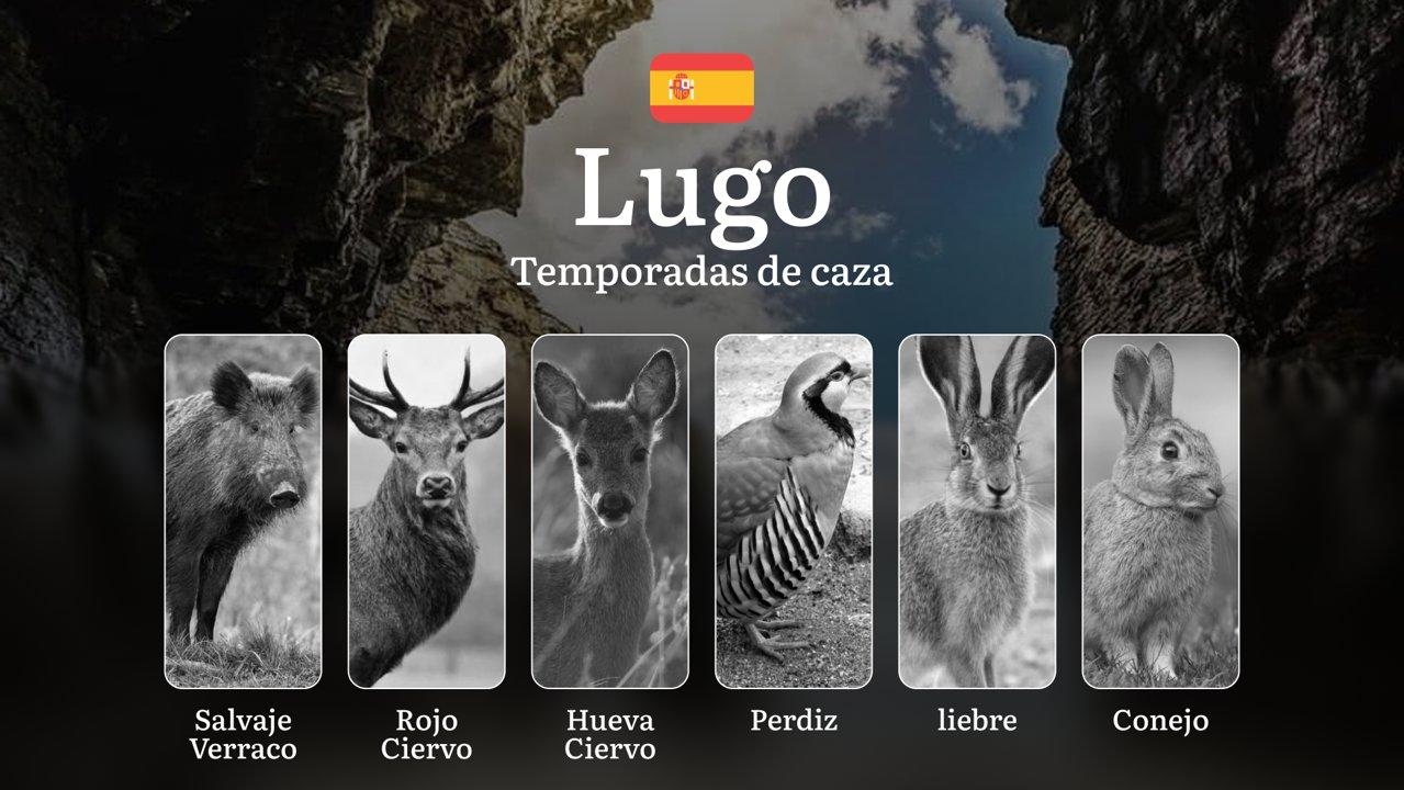 Temporadas y períodos de caza en LUGO: Fechas, Normativas y Épocas Ideales para la Práctica Cinegética