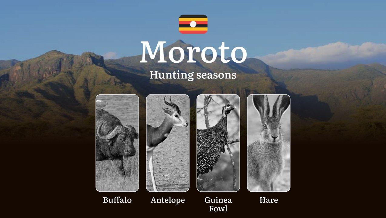 Seasonal Hunting Periods in Moroto: Limits and Seasonal Prohibitions, Licensing Conditions, Fines and Legal Effects of Non-Compliance, Strategic Preparation, Best Hunting Times, Gear Choices