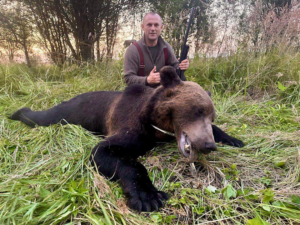 Bear Hunting in Belarus 2025: Legalization, Permits, Auctions, and Trophy Opportunities