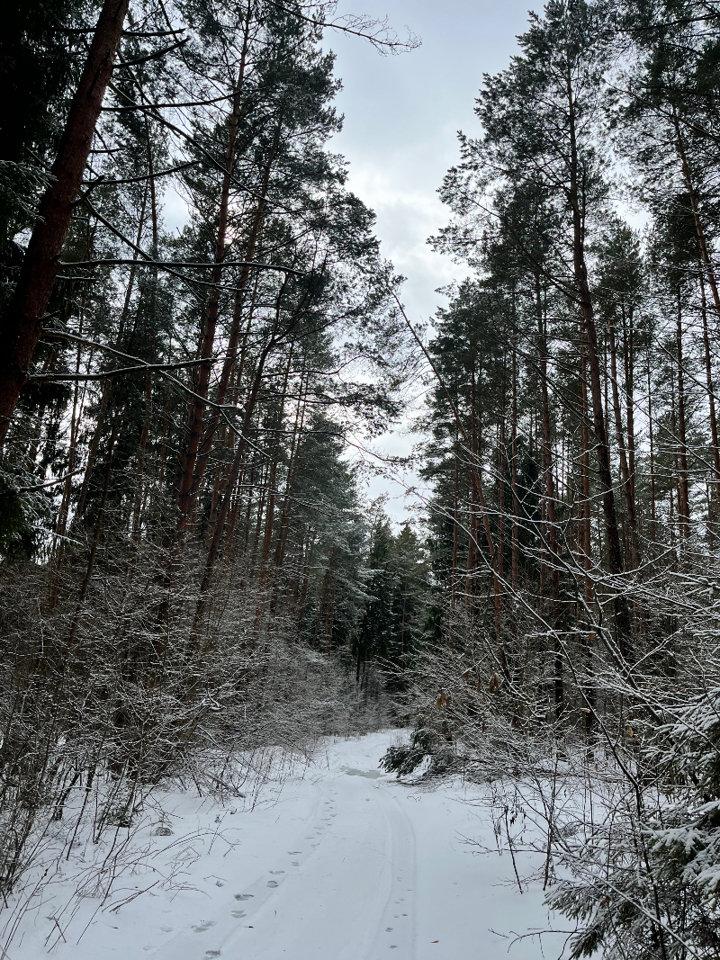 Post Card