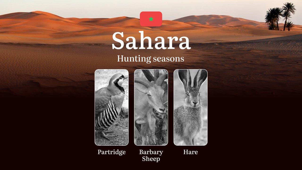Hunting Periods and Local Rules in the  Sahara: Species You Can Hunt Throughout the Year, Seasonal Activity of Game, and the Steps to Get a Legal Hunting License in the Region