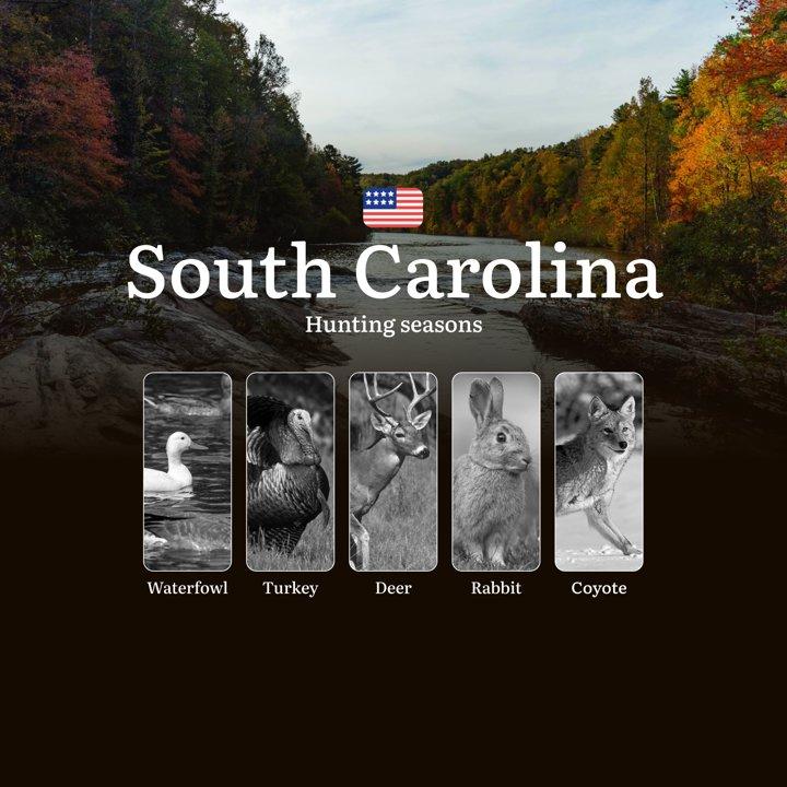 Seasons of Hunting in South Carolina, USA: Hunting Periods, Openings and Closings, Licenses, Rules and Seasonal Hunting Characteristics