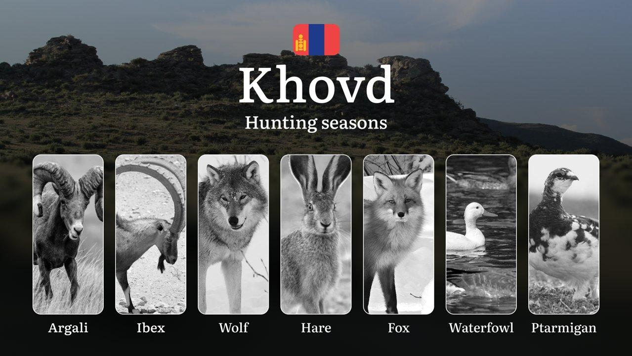 Hunting Periods and Local Rules in Khovd Province: Species You Can Hunt Throughout the Year, Seasonal Activity of Game, and the Steps to Get a Legal Hunting License in th