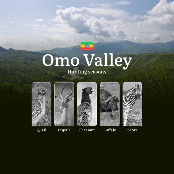 Hunting Seasons in Ethiopia’s OMO VALLEY: Hunting Periods, Times and Dates, Licenses, Rules, and Consequences for Violating Hunting