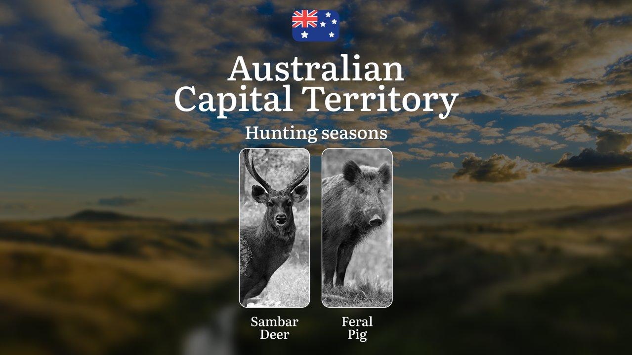 Tracking Calendar and Rules: A Hunter’s Insight into Hunting Opportunities in the Australian Capital Territory

Understanding Hunting Seasons and Wildlife Management in t