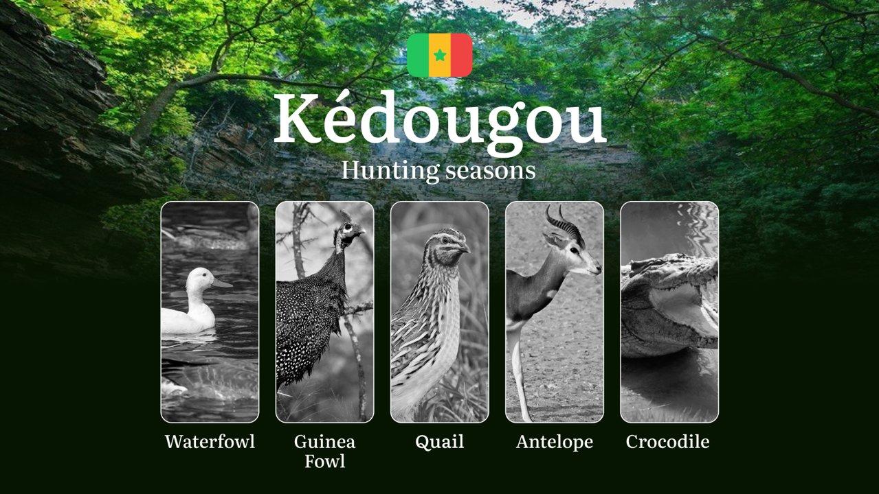Hunting Dates in Senegal: The KÉDOUGOU Region – Seasons and Timing, Rules, and Preparation, Tips for Choosing Location and Tactics