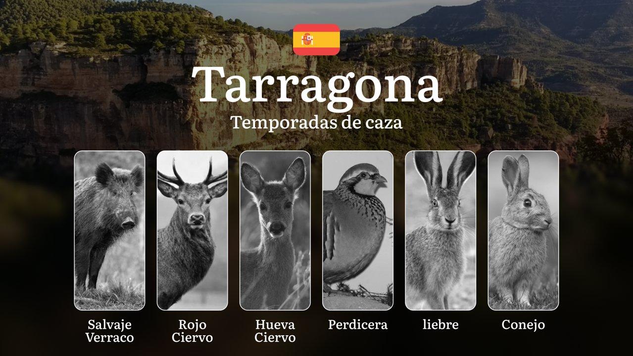 Temporadas de Caza en TARRAGONA: Normativas, Temporadas y períodos de caza, Consejos para una Caza Responsable