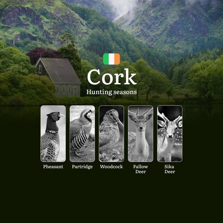 The <strong>Calendar</strong> of the Hunt: Exploring Seasonal Opportunities, Activities and Rules in County CORK

Understanding Hunting Seasons and <strong>Wildlife</stro