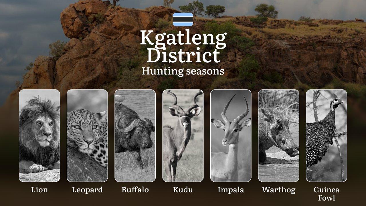 Hunting Date Ranges in Kgatleng District: Big and Small Game Hunting, Access Rules, Required Equipment, and Top Spots