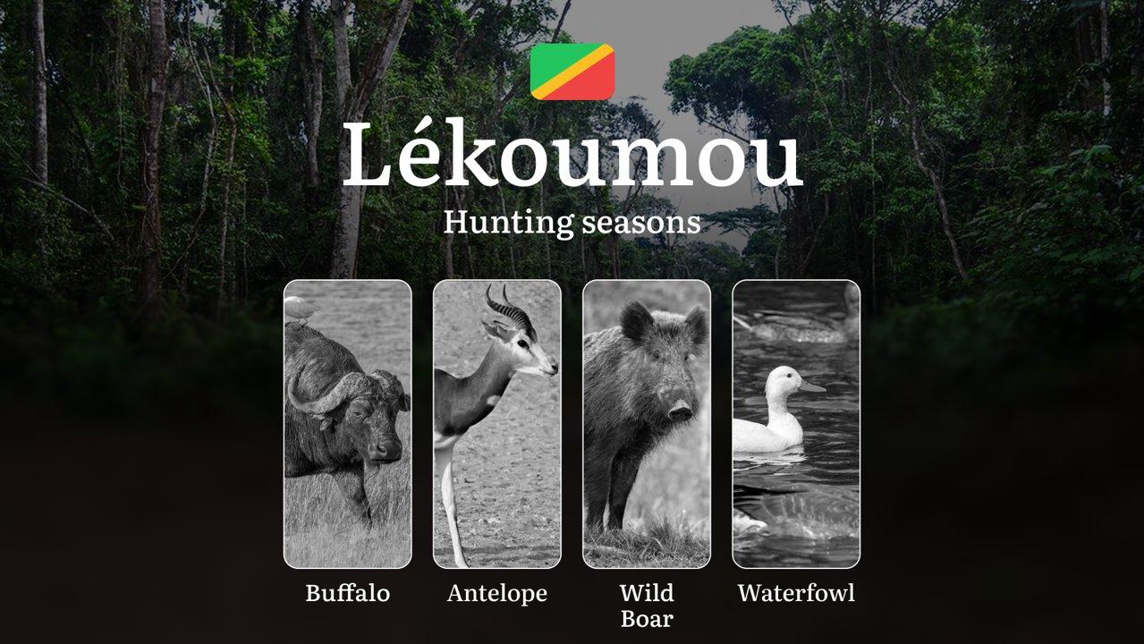 Hunting Time in the Republic of the Congo, Lékoumou Region: Seasonality, Permits, Rules, and Periods for Hunting, Liability for Violating Hunting 