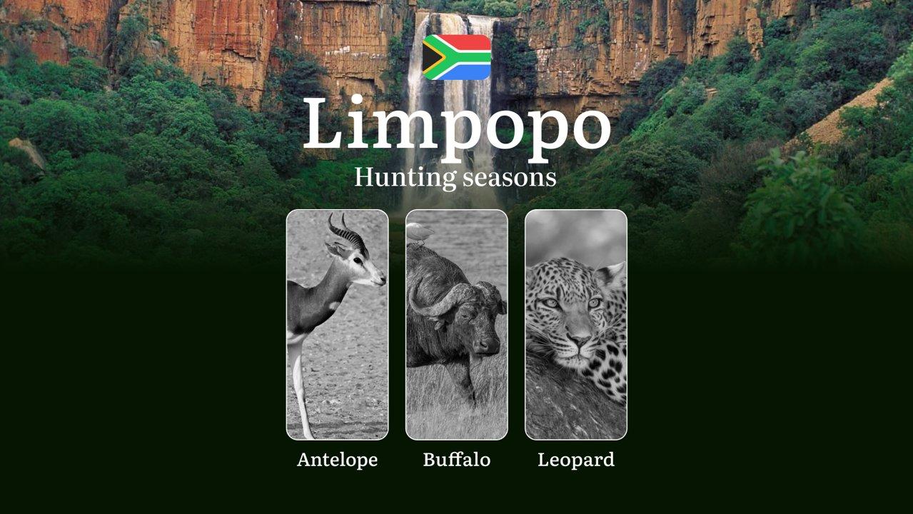 Hunting Time in South Africa, Limpopo Region: Seasons and Dates of Hunting, Licences and Rules for Hunting, Tips for Hunters and Limits

Legal Framework and Main Hunting 
