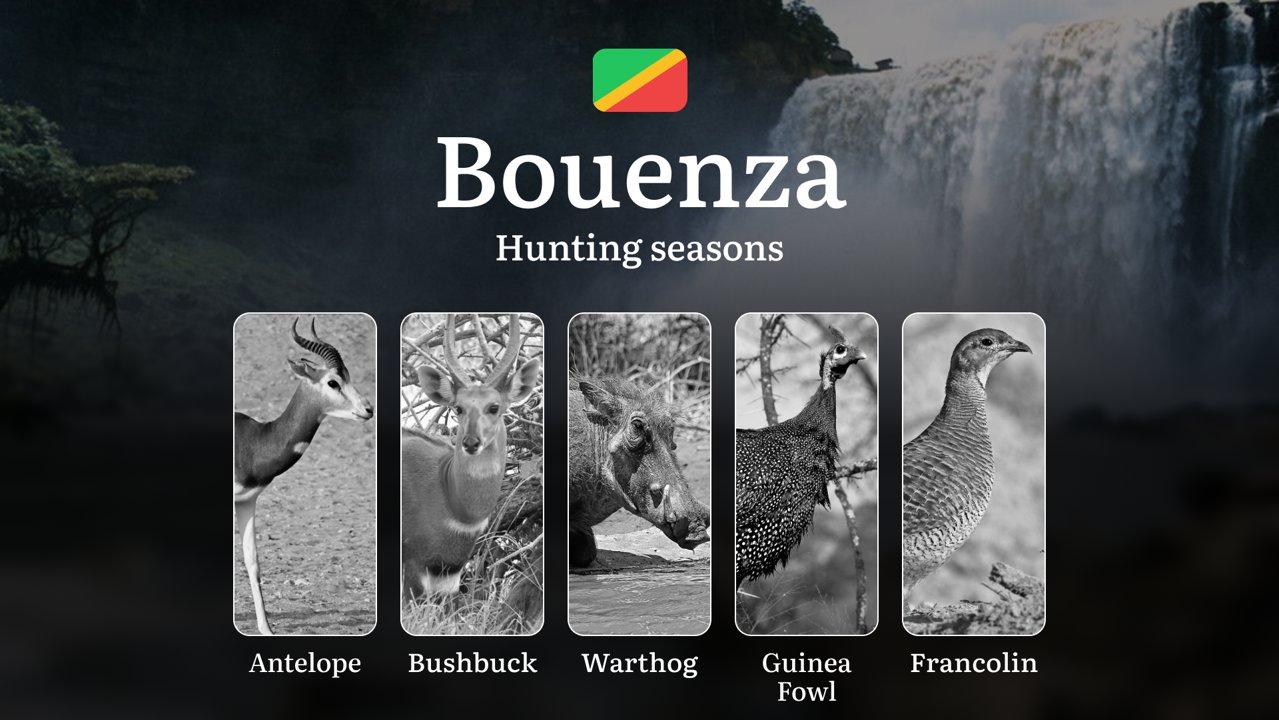 Hunting Seasons in the Bouenza Region of the Republic of the Congo: Hunting Seasons, Opening and Closing Dates, Licenses, Rules, and Periods for Hunting