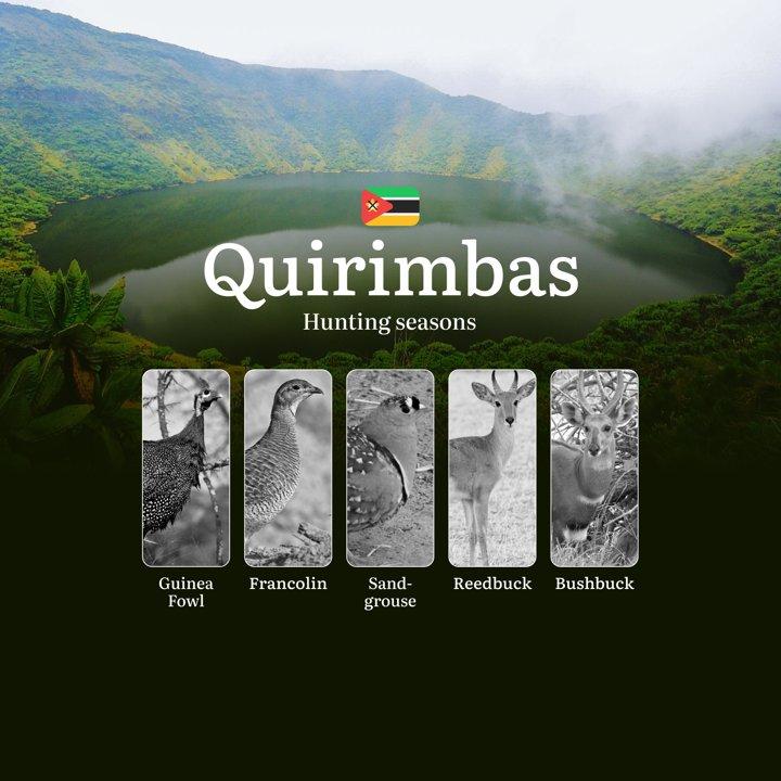 The Hunting Calendar of Quirimbas' Borderlands – Where Coastal Mystique Meets African Bushcraft
