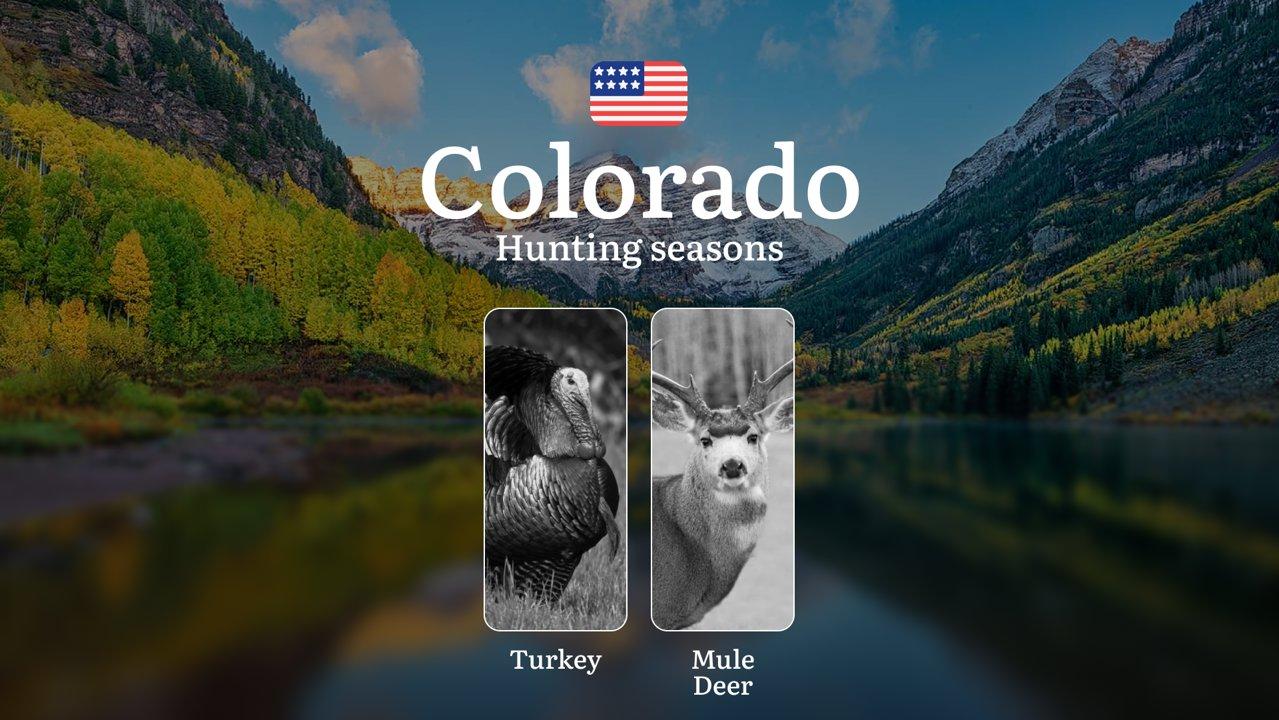 United States, Colorado: Hunting Seasons, Regulations, Licenses and Consequences for Violating Hunting, General Rules and Hunting Dates