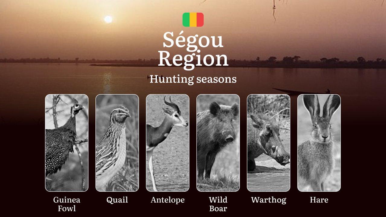 Ségou Region: Official Hunting Periods, <strong>Legal</strong> Limits and Seasonal Bans, Licensing Requirements, Fines and <strong>Legal</strong> Consequences of Non-Comp