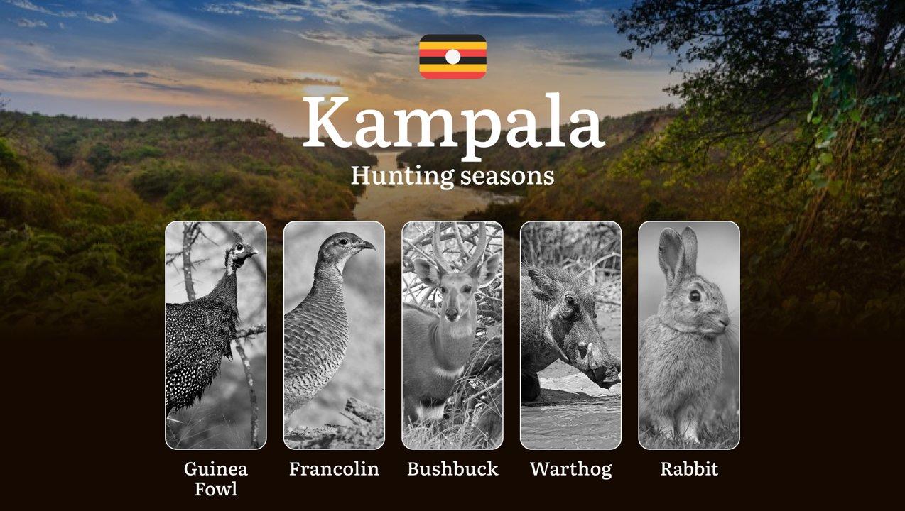 Hunting Season Dates in Kampala: Regulatory Caps and Seasonal Closures, License Requirements, Penalties and Legal Outcomes for Infractions, Strategic Planning, Best Timing, Equipment Selection